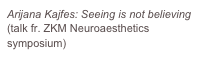 Arijana Kajfes: Seeing is not believing (talk fr. ZKM Neuroaesthetics symposium)